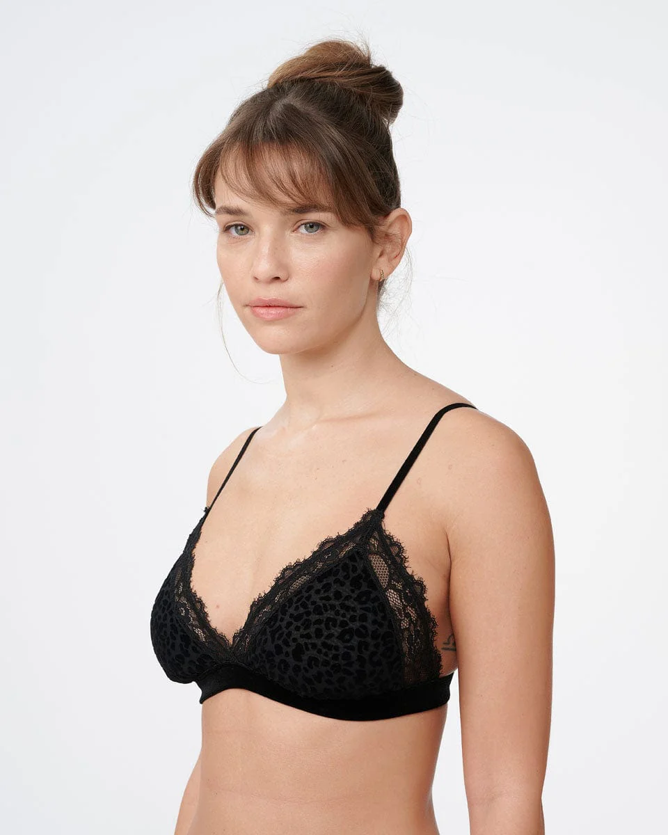 תמונת מוצר 2